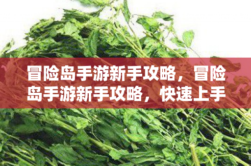 冒险岛手游新手攻略,冒险岛手游新手攻略,快速上手与成长指南 冒险岛手游新手攻略,冒险岛手游新手攻略,快速上手与成长指南