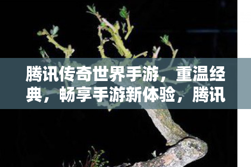 腾讯传奇世界手游,重温经典,畅享手游新体验,腾讯传奇世界手游,重温经典,畅享手游新体验 腾讯传奇世界手游,重温经典,畅享手游新体验,腾讯传奇世界手游,重温经典,畅享手游新体验