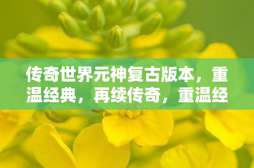 传奇世界元神复古版本,重温经典,再续传奇,重温经典传奇世界元神复古版本,再续传奇之旅 传奇世界元神复古版本,重温经典,再续传奇,重温经典传奇世界元神复古版本,再续传奇之旅