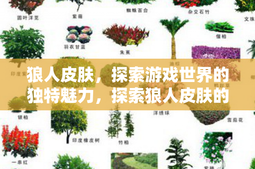 狼人皮肤，探索游戏世界的独特魅力，探索狼人皮肤的独特魅力，游戏世界的奇幻之旅