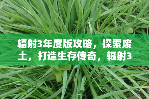 辐射3年度版攻略，探索废土，打造生存传奇，辐射3年度版废土生存传奇攻略，打造你的生存传奇