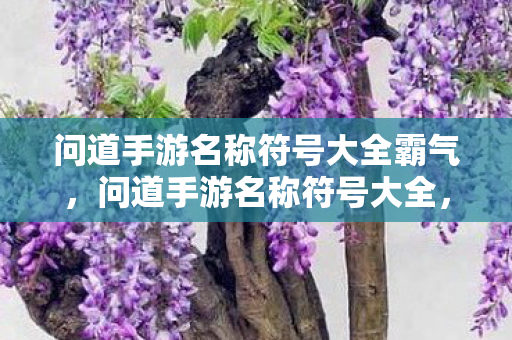 问道手游名称符号大全霸气图片