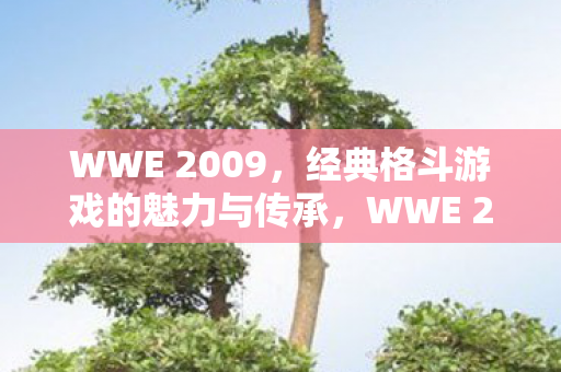 WWE 2009，经典格斗游戏的魅力与传承，WWE 2009，经典格斗游戏的魅力与传承