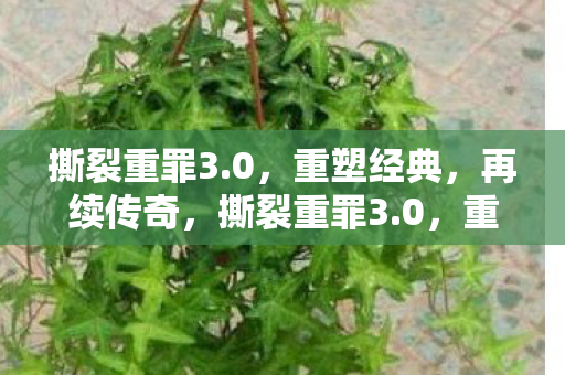 撕裂重罪3.0，重塑经典，再续传奇，撕裂重罪3.0，重塑经典，再续传奇