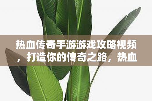 热血传奇手游游戏攻略视频,打造你的传奇之路,热血传奇手游,打造你的传奇之路 热血传奇手游游戏攻略视频,打造你的传奇之路,热血传奇手游,打造你的传奇之路