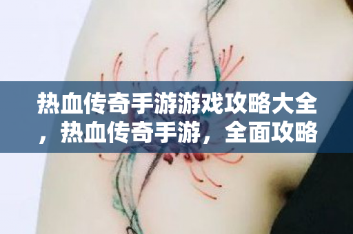 热血传奇手游游戏攻略大全图片