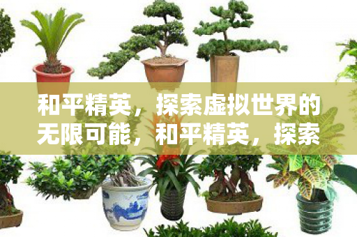 探索虚拟世界的无限可能图片