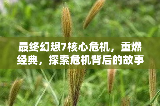 最终幻想7核心危机,重燃经典,探索危机背后的故事,最终幻想7核心危机重燃经典,揭秘危机背后的故事 最终幻想7核心危机,重燃经典,探索危机背后的故事,最终幻想7核心危机重燃经典,揭秘危机背后的故事
