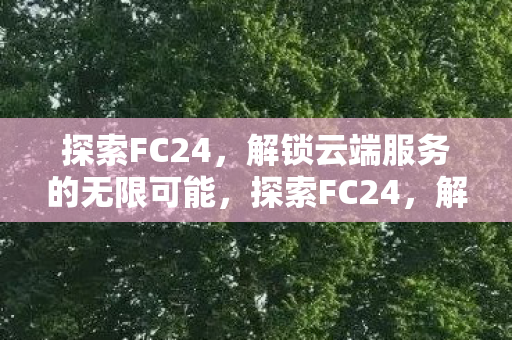 探索FC24,解锁云端服务的无限可能,探索FC24,解锁云端服务的无限可能 探索FC24,解锁云端服务的无限可能,探索FC24,解锁云端服务的无限可能