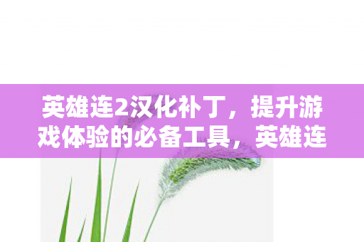英雄连2汉化补丁,提升游戏体验的必备工具,英雄连2汉化补丁,提升游戏体验的必备工具 英雄连2汉化补丁,提升游戏体验的必备工具,英雄连2汉化补丁,提升游戏体验的必备工具