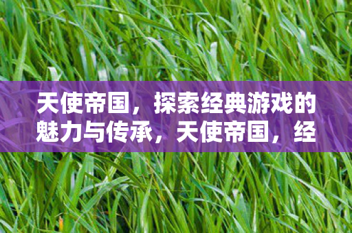 天使帝国,探索经典游戏的魅力与传承,天使帝国,经典游戏的魅力与传承 天使帝国,探索经典游戏的魅力与传承,天使帝国,经典游戏的魅力与传承