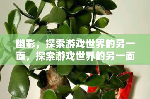 幽影,探索游戏世界的另一面,探索游戏世界的另一面,幽影的奥秘 幽影,探索游戏世界的另一面,探索游戏世界的另一面,幽影的奥秘