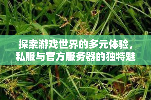 探索游戏世界的多元体验,私服与官方服务器的独特魅力,私服与官方服务器,探索游戏世界的多元体验 探索游戏世界的多元体验,私服与官方服务器的独特魅力,私服与官方服务器,探索游戏世界的多元体验