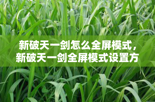 新破天一剑怎么全屏模式,新破天一剑全屏模式设置方法 新破天一剑怎么全屏模式,新破天一剑全屏模式设置方法