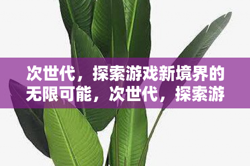 次世代,探索游戏新境界的无限可能,次世代,探索游戏新境界的无限可能 次世代,探索游戏新境界的无限可能,次世代,探索游戏新境界的无限可能