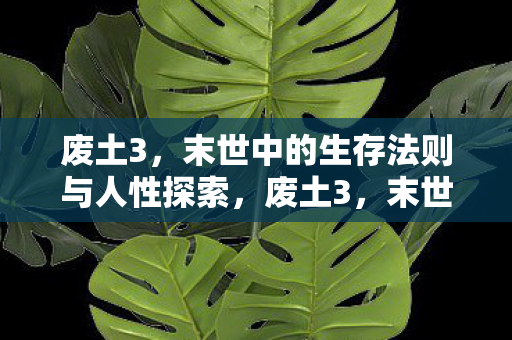 废土3,末世中的生存法则与人性探索,废土3,末世生存法则与人性的深度探索 废土3,末世中的生存法则与人性探索,废土3,末世生存法则与人性的深度探索