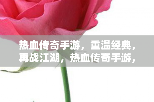 热血传奇手游图片