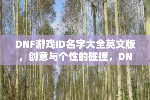 DNF游戏ID名字大全英文版，创意与个性的碰撞，DNF游戏英文ID名字大全，创意与个性的碰撞