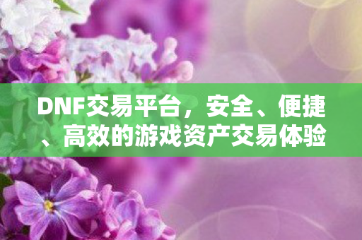 DNF交易平台,安全、便捷、高效的游戏资产交易体验,DNF交易平台,安全、便捷、高效的游戏资产交易体验 DNF交易平台,安全、便捷、高效的游戏资产交易体验,DNF交易平台,安全、便捷、高效的游戏资产交易体验
