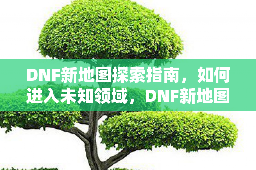 DNF新地图探索指南，如何进入未知领域，DNF新地图探索指南，揭秘未知领域入口