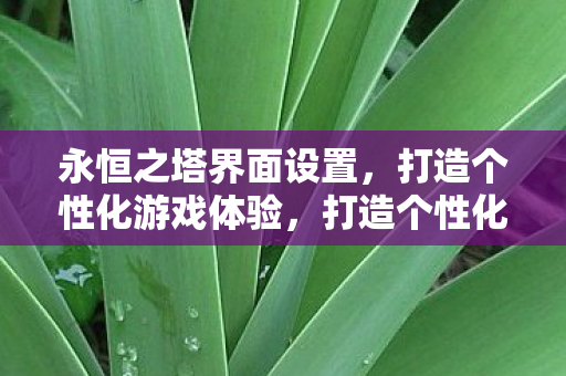 永恒之塔界面设置,打造个性化游戏体验,打造个性化游戏体验,永恒之塔界面设置全解析 永恒之塔界面设置,打造个性化游戏体验,打造个性化游戏体验,永恒之塔界面设置全解析