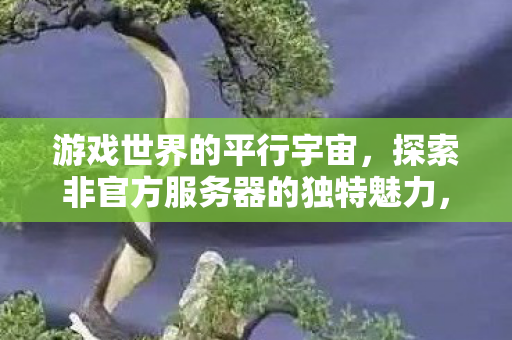 游戏世界的平行宇宙,探索非官方服务器的独特魅力,游戏世界的平行宇宙,探索非官方服务器的独特魅力 游戏世界的平行宇宙,探索非官方服务器的独特魅力,游戏世界的平行宇宙,探索非官方服务器的独特魅力