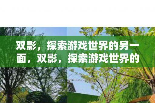 双影,探索游戏世界的另一面,双影,探索游戏世界的另一面 双影,探索游戏世界的另一面,双影,探索游戏世界的另一面
