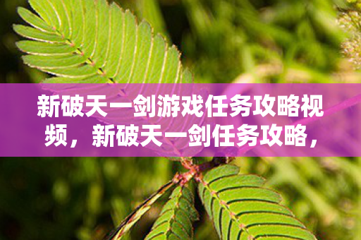 新破天一剑游戏任务攻略视频,新破天一剑任务攻略,视频带你玩转游戏 新破天一剑游戏任务攻略视频,新破天一剑任务攻略,视频带你玩转游戏