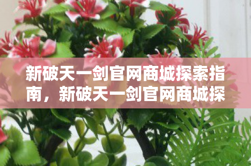 新破天一剑官网商城探索指南，新破天一剑官网商城探索全攻略