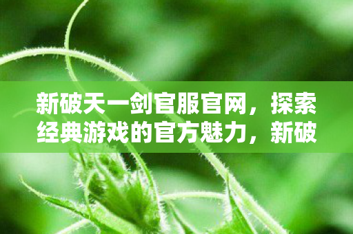 探索经典游戏的官方魅力图片