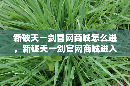 新破天一剑官网商城进入指南图片