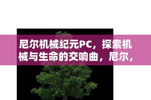 尼尔机械纪元PC,探索机械与生命的交响曲,尼尔,机械纪元PC版,探索机械与生命的交响曲 尼尔机械纪元PC,探索机械与生命的交响曲,尼尔,机械纪元PC版,探索机械与生命的交响曲