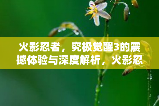 火影忍者，究极觉醒3的震撼体验与深度解析，火影忍者，究极觉醒3深度解析与震撼体验