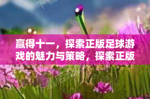 赢得十一,探索正版足球游戏的魅力与策略,探索正版足球游戏的魅力与策略,赢得十一 赢得十一,探索正版足球游戏的魅力与策略,探索正版足球游戏的魅力与策略,赢得十一