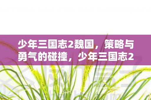 少年三国志2魏国,策略与勇气的碰撞,少年三国志2魏国篇,策略与勇气的激烈碰撞 少年三国志2魏国,策略与勇气的碰撞,少年三国志2魏国篇,策略与勇气的激烈碰撞
