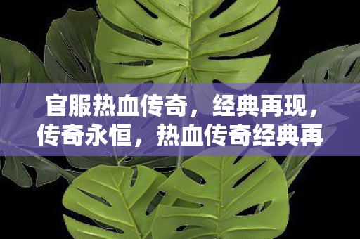 官服热血传奇,经典再现,传奇永恒,热血传奇经典再现,传奇永恒,官服再启征程 官服热血传奇,经典再现,传奇永恒,热血传奇经典再现,传奇永恒,官服再启征程