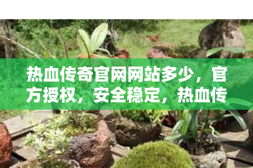 热血传奇官网网站多少,官方授权,安全稳定,热血传奇官网,官方授权,安全稳定 热血传奇官网网站多少,官方授权,安全稳定,热血传奇官网,官方授权,安全稳定