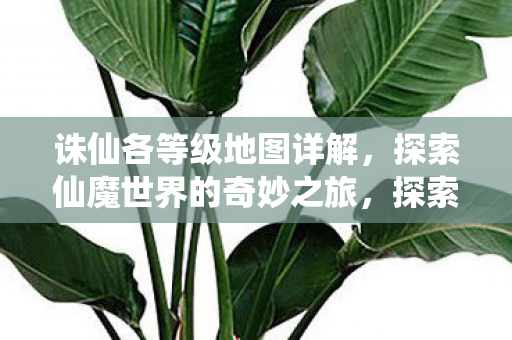 诛仙各等级地图详解,探索仙魔世界的奇妙之旅,探索仙魔世界的奇妙之旅,诛仙各等级地图详解 诛仙各等级地图详解,探索仙魔世界的奇妙之旅,探索仙魔世界的奇妙之旅,诛仙各等级地图详解