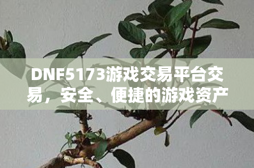 DNF5173游戏交易平台交易,安全、便捷的游戏资产交易体验,DNF5173,安全便捷的游戏资产交易平台 DNF5173游戏交易平台交易,安全、便捷的游戏资产交易体验,DNF5173,安全便捷的游戏资产交易平台