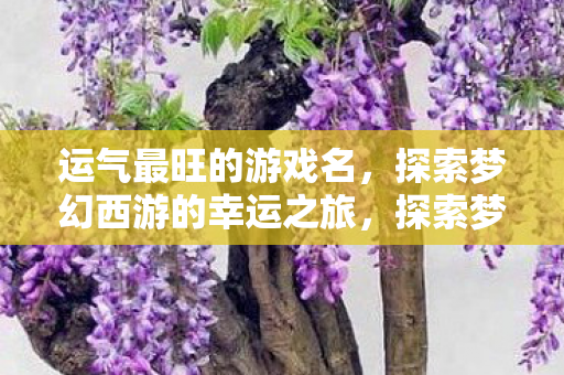 运气最旺的游戏名,探索梦幻西游的幸运之旅,探索梦幻西游的幸运之旅,揭秘最旺游戏名 运气最旺的游戏名,探索梦幻西游的幸运之旅,探索梦幻西游的幸运之旅,揭秘最旺游戏名