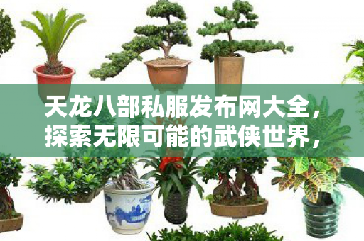 天龙八部私服发布网大全,探索无限可能的武侠世界,探索无限可能的武侠世界,天龙八部私服发布网大全 天龙八部私服发布网大全,探索无限可能的武侠世界,探索无限可能的武侠世界,天龙八部私服发布网大全