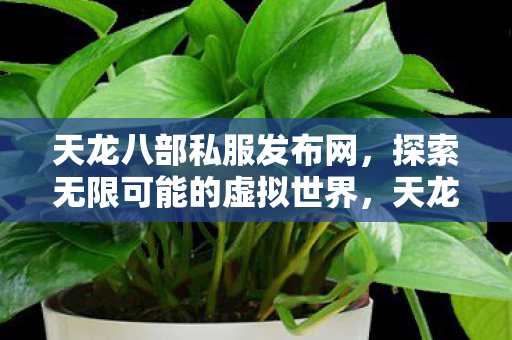 天龙八部私服发布网,探索无限可能的虚拟世界,天龙八部私服发布网,探索虚拟世界的无限可能 天龙八部私服发布网,探索无限可能的虚拟世界,天龙八部私服发布网,探索虚拟世界的无限可能