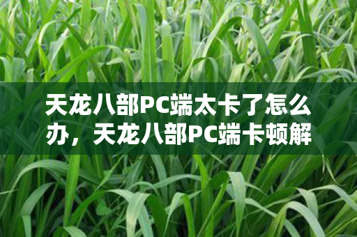 天龙八部PC端太卡了怎么办,天龙八部PC端卡顿解决方案 天龙八部PC端太卡了怎么办,天龙八部PC端卡顿解决方案