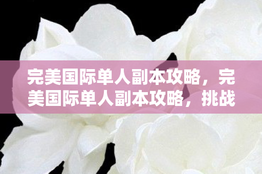 完美国际单人副本攻略,完美国际单人副本攻略,挑战自我,解锁隐藏奖励 完美国际单人副本攻略,完美国际单人副本攻略,挑战自我,解锁隐藏奖励