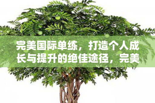完美国际单练,打造个人成长与提升的绝佳途径,完美国际单练,打造个人成长与提升的绝佳途径 完美国际单练,打造个人成长与提升的绝佳途径,完美国际单练,打造个人成长与提升的绝佳途径