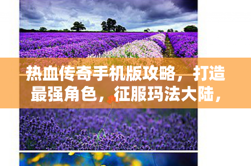 热血传奇手机版攻略,打造最强角色,征服玛法大陆,热血传奇手机版,打造最强角色,征服玛法大陆攻略 热血传奇手机版攻略,打造最强角色,征服玛法大陆,热血传奇手机版,打造最强角色,征服玛法大陆攻略