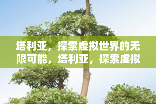 塔利亚,探索虚拟世界的无限可能,塔利亚,探索虚拟世界的无限可能 塔利亚,探索虚拟世界的无限可能,塔利亚,探索虚拟世界的无限可能