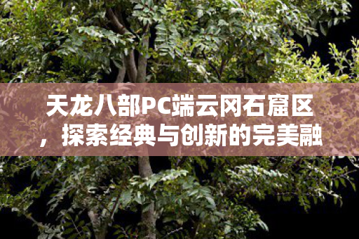 天龙八部PC端云冈石窟区，探索经典与创新的完美融合，天龙八部PC端云冈石窟区，经典与创新完美融合