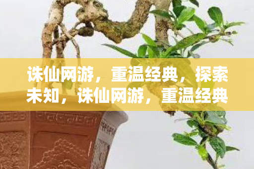 诛仙网游,重温经典,探索未知,诛仙网游,重温经典,探索未知之旅 诛仙网游,重温经典,探索未知,诛仙网游,重温经典,探索未知之旅