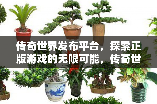 传奇世界发布平台,探索正版游戏的无限可能,传奇世界发布平台,探索正版游戏的无限可能 传奇世界发布平台,探索正版游戏的无限可能,传奇世界发布平台,探索正版游戏的无限可能